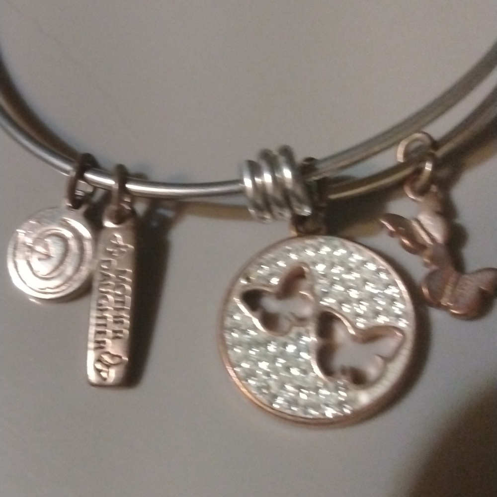 LA CN slide bracelet butterfly (sku 1212)